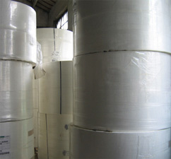 Roll Pulp
