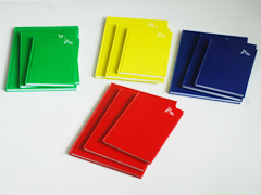 Professional Notebooks