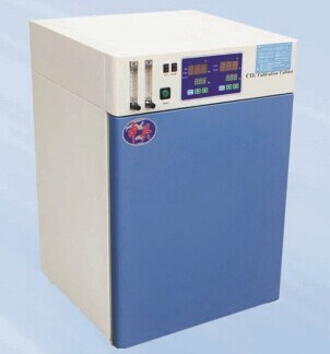 Electrothermal Constant Temperature Incubator Medical Equipment