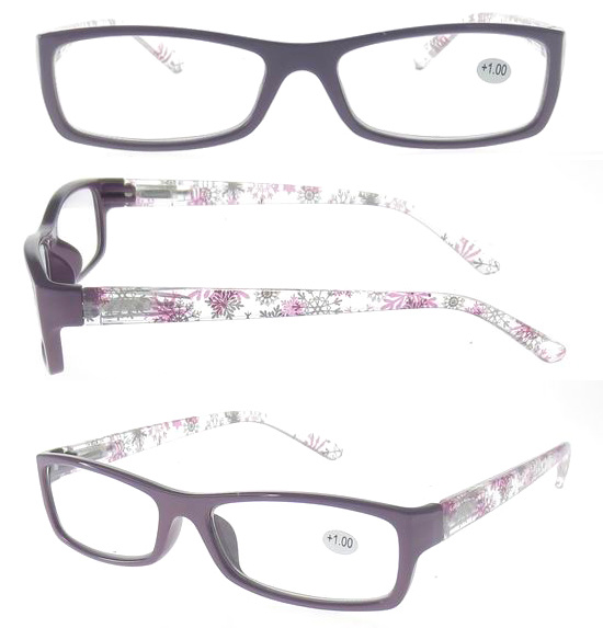 Eye Glssses/Eyewear Glasses/Plastic Eyewear (RP440118)
