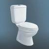 Automatic Toilet (CL-M8523)