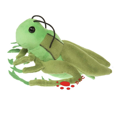 Soft Grasshopper Stuffed Plush Animal Toy (TPYS0013)