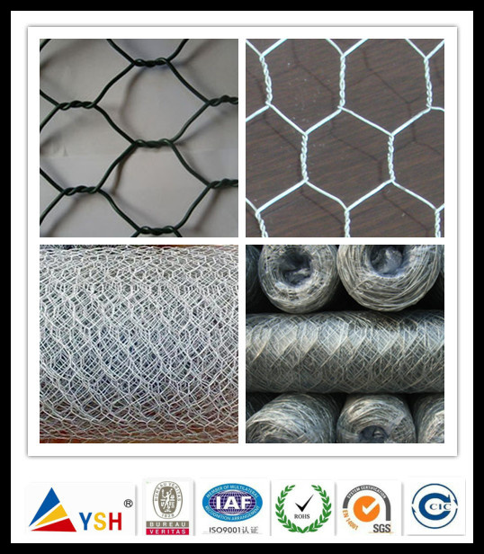 Hexagonal Wire Netting /Bird Netting (20years factory)