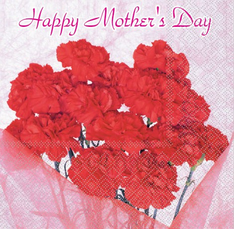 Festival Color Printed Paper Napkin (JR026)