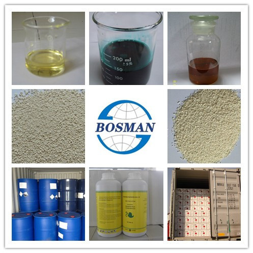 Herbicide Pendimethalin (400g/L EC 500g/L EC) Used for Grain Corn Paddy Field