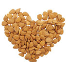 Bitter Apricot Kernel