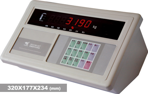 XK3190A9 Weighing Indicator