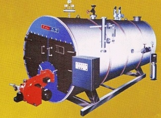 Fuel (Gas) Steam Boiler - 2