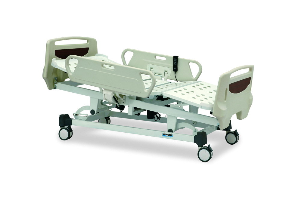 Inclined Electrical Nursing Bed (QYA519-1)