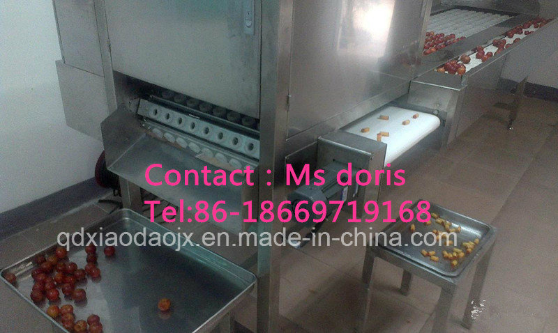 Automatic Fruit Pitting Machine, Dates/Cherry/Plum/ Pitting Machine