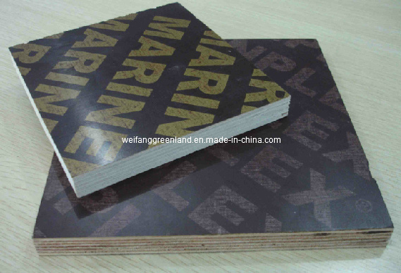 Poplar Core Brown Film Faced Plywood with Logo