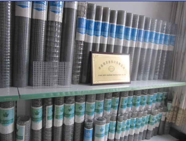 Galvanized Welded Wire Mesh