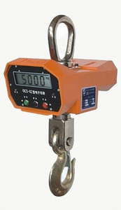 Crane Scale