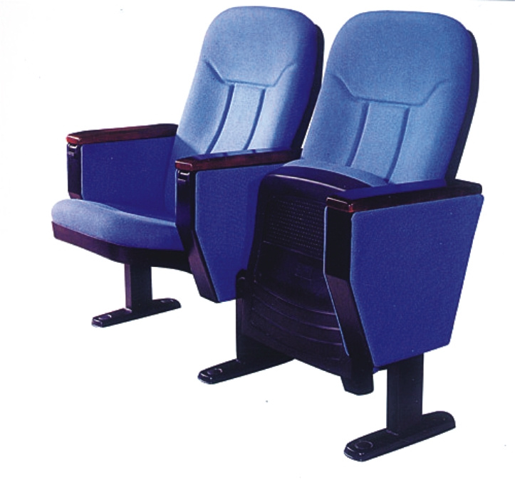Lecture Hall Seating (LT13)