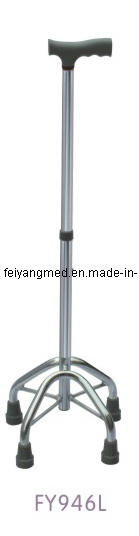 Walking Stick