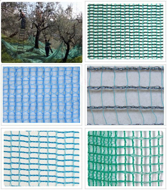 UV Protection Harvesting Net (AN1OO)