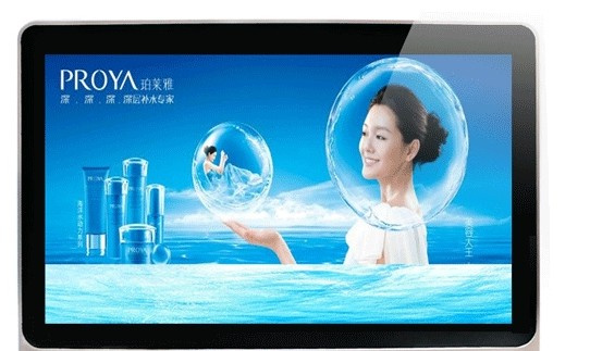 42'' Free Software LCD Advertising Display