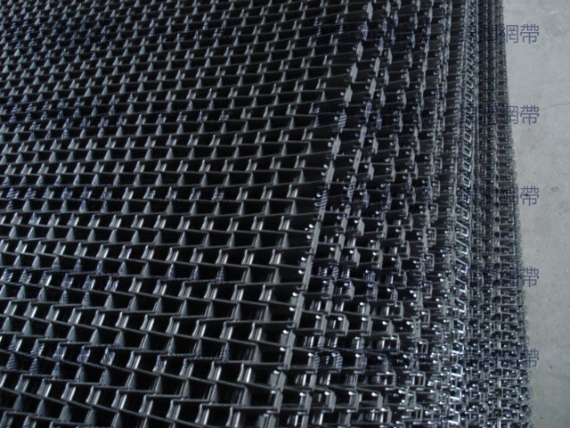 Flat Wire Belt with ISO9001 (TYPE FW)