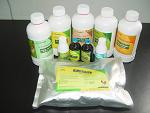Mycotoxin Antidote Herbs Oral Solution