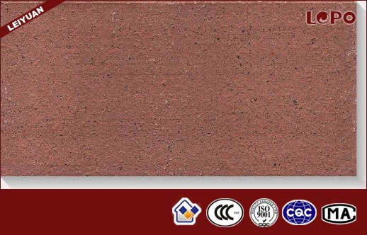 Anti-Corrosion Clay Paver for Plaza