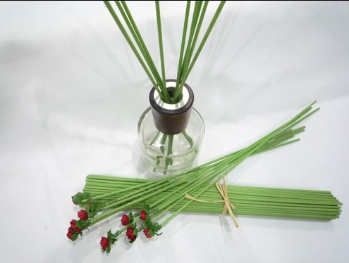 Wick Diffuser