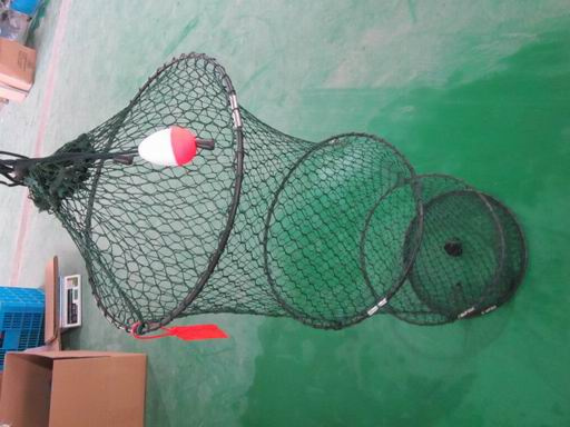 Plastic Keep Net (QAC-35113)