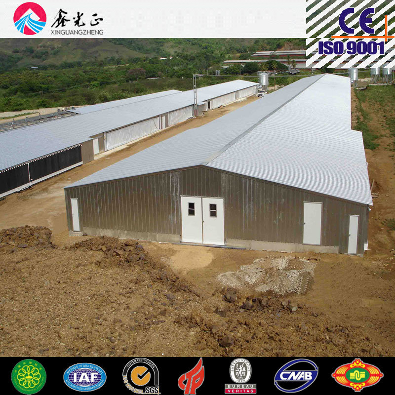 Poultry House, Livestock, Chicken House, Poultry Farm (PCH-9)