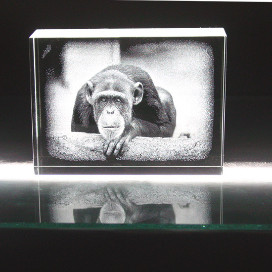 Lovely Monkey Crystal Souvenir Crafts (FCn06)
