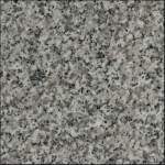 Snow Grey Granite for Floor & Wall & Countertop Owner Quarry G623
