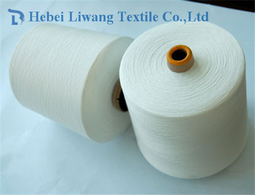 100% Polyester Spun Yarn for Knitting and Weaving