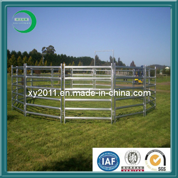 Durable Hot Dipped Galvanized Cows Stables