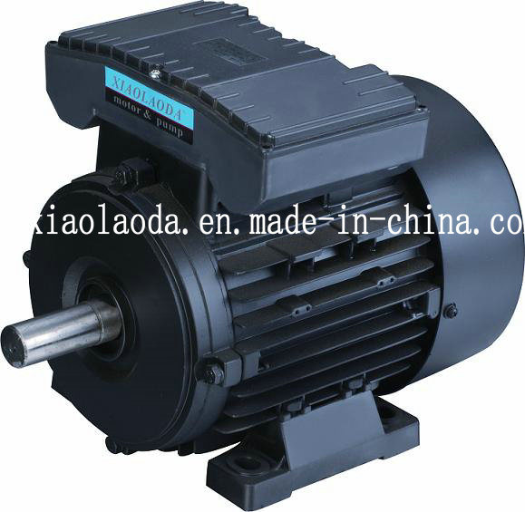 Single Phase Cscr Electric Motor Yl63-132