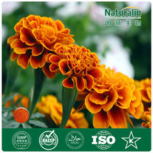 Pure Marigold Extract for Animal Feed