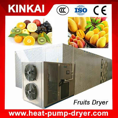 Hot Selling New Functional Mango Drying Machine