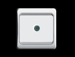 Switch