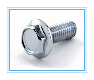 Stainless Steel Hollowed Head Flange Bolt /Flange Head Bolt/Flange Bolt