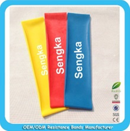 Exercise Loop Bands Set