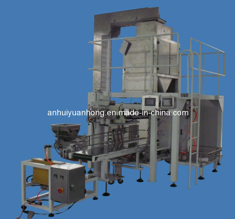 Granule Packaging Machine /Particle Packaging Machinery