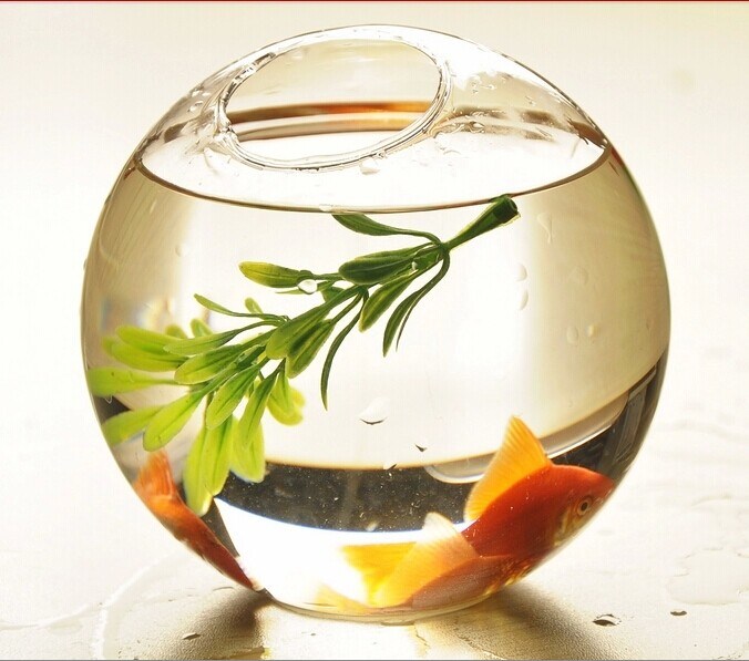Creative Refined Aesthetic Bevel Aquarium, Clear Glass Fish Bowl