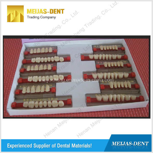 Dental Synthetic Resin Teeth (Hardness Jade 29.8HD)