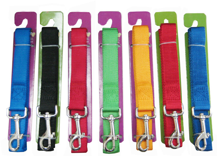 Leash & Collar Lcq0030
