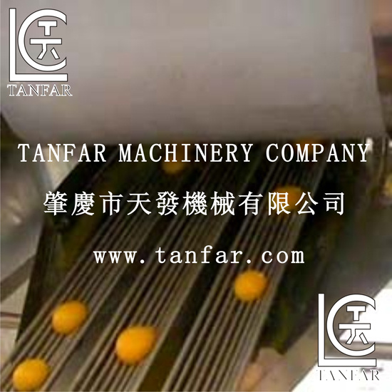 Automatic Egg Washer and Breaker Machine