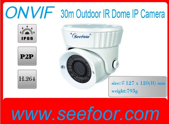 Nigtht Version Dome IP Camera