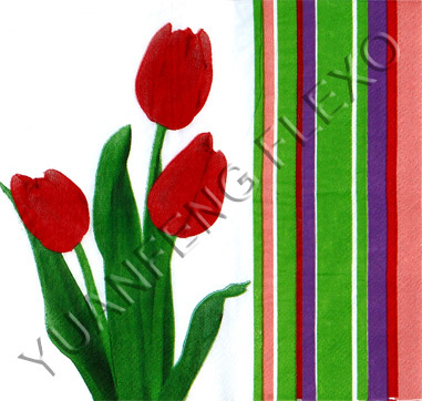 Water Based Flexographic Ink for Napkin Paper Printing
