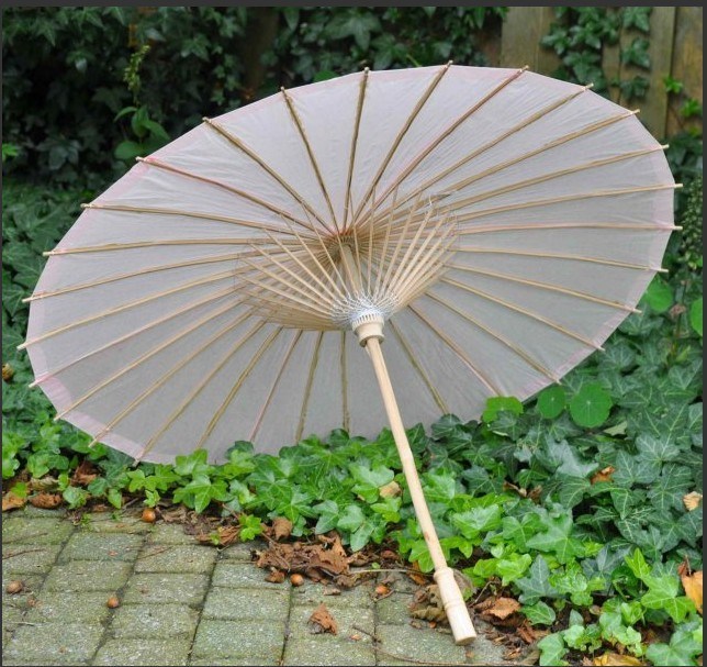 Decorative Paper Umbrella (CVP071)