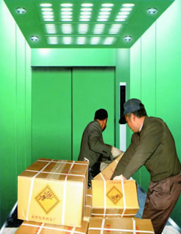 Cargo Elevator