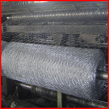 Hexagonal Wire Mesh (1/2