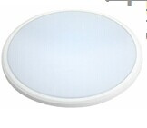 LED Ceiling/Wall Light