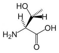 98.5% L-Threonine Fodder for Animal