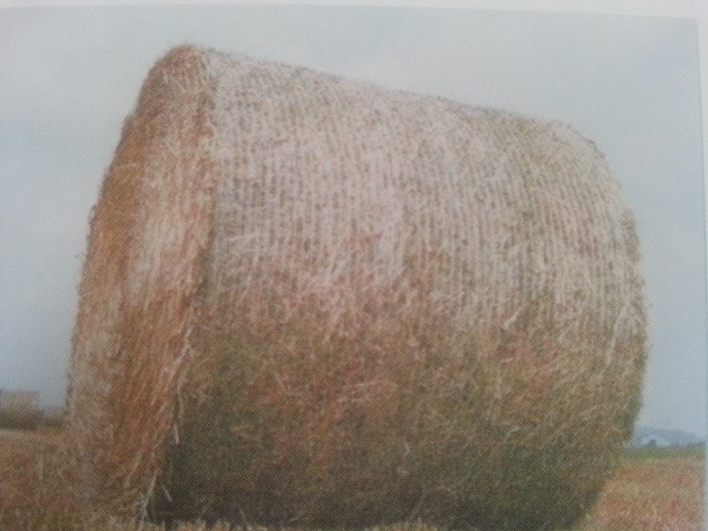 Bale Net Wrap